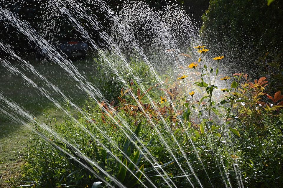 Pompe de forage : 3 bonnes raisons de choisir une pompe immergée au lieu d’une pompe de surface